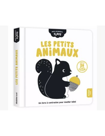 Mes premiers flaps - Les...