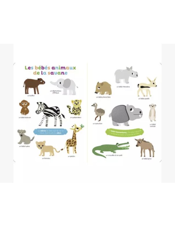 Mes premiers bébés animaux à toucher