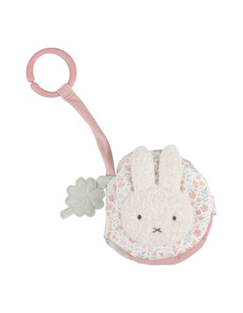 Little Dutch Livre...