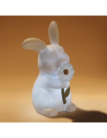 Veilleuse Lapin - Fairy Garden little dutch 2