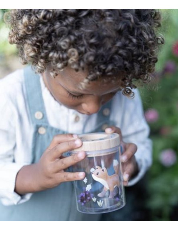 Boîte à insectes - Forest Friend -...