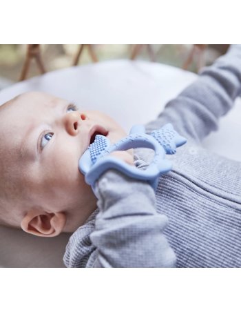 Anneau de dentition renard... 2