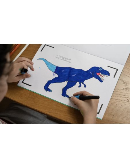 Cahier de dessin animé - Les Dinosaures 3/5 ans