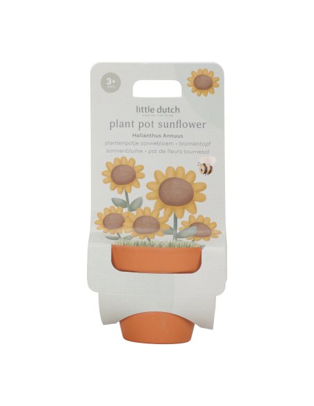 Kit de plantation - Tournesol little dutch