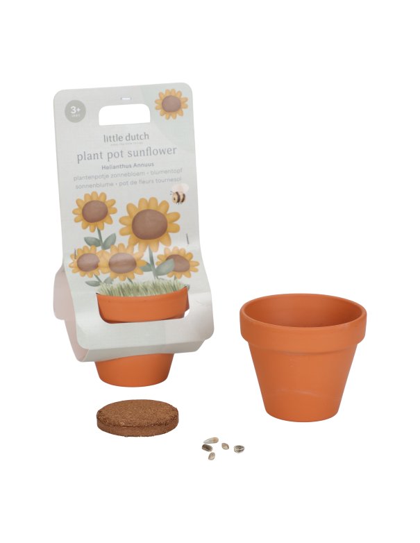 Kit de plantation - Tournesol -...