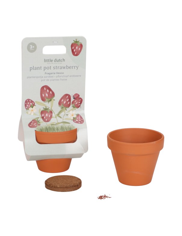 Kit de plantation - Fraise - Little...
