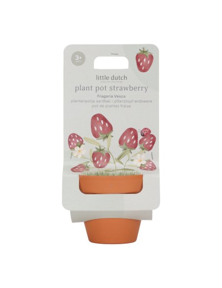 Kit de plantation - Fraise