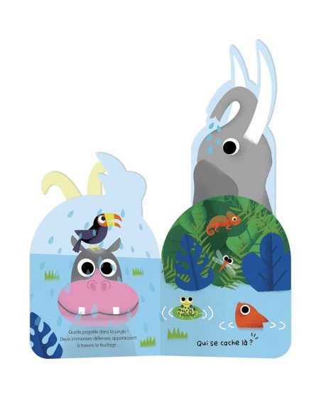 Mon coucou sonore - A qui sont ces cornes d'animaux?