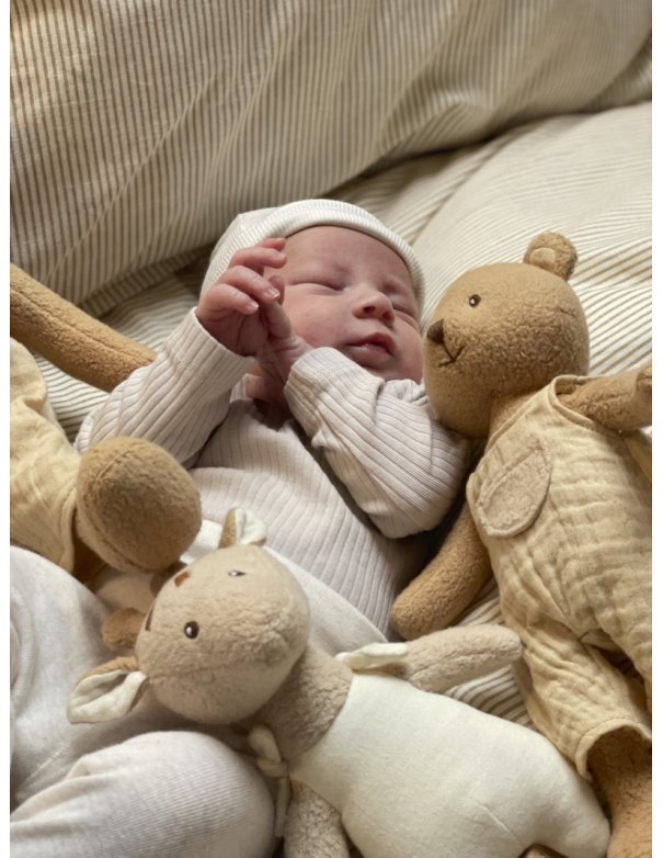 Peluche ours Marcel Peluche ours Marcel