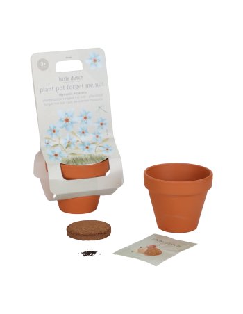 Kit de plantation - Myosotis little dutch 2