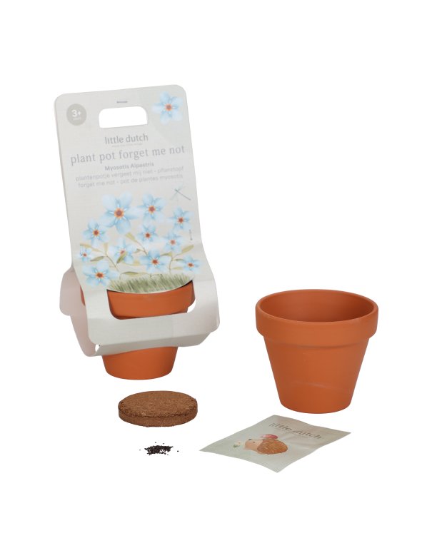 Kit de plantation - Myosotis - Little...