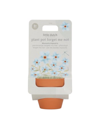 Kit de plantation - Myosotis little dutch
