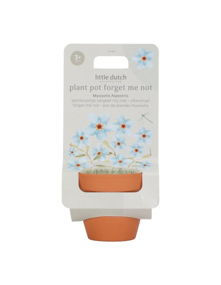 Kit de plantation - Myosotis little dutch