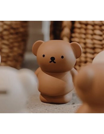 Tirelire l’Ours Boris - choco