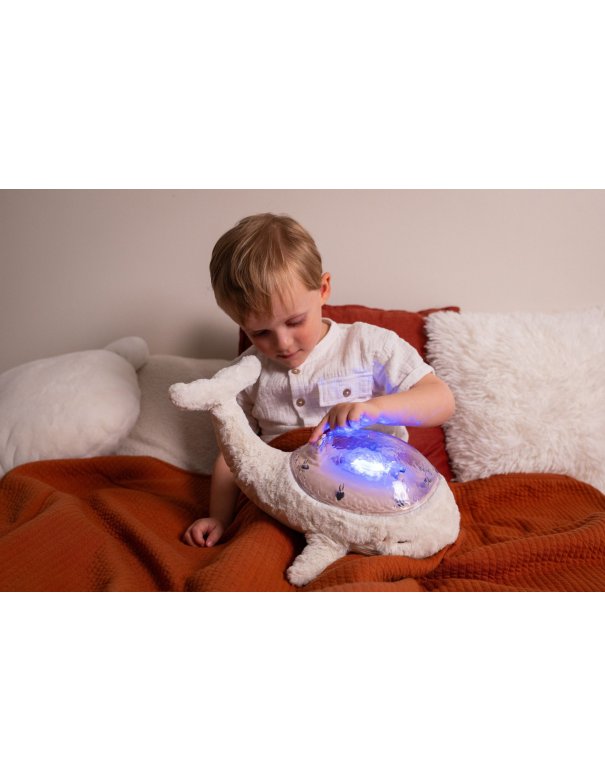 Tranquil Baleine - Blanc...