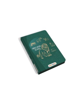 Tablette à dessin Kidydraw...