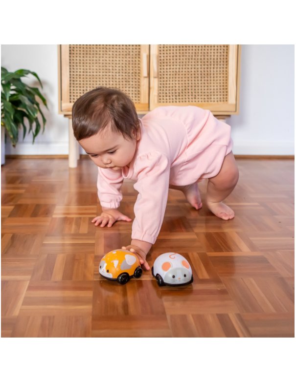 Lot de 2 véhicules à friction chat et souris