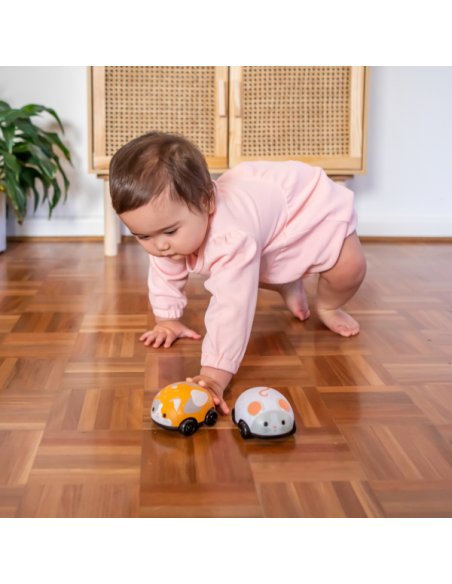 Lot de 2 véhicules à friction chat et souris