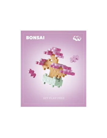 Pop Plantes Plus Plus – Bonsaï Rose 5+