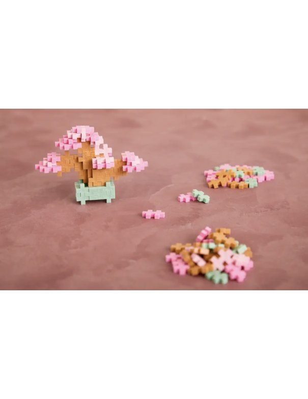 Pop Plantes Plus Plus – Bonsaï Rose 5+