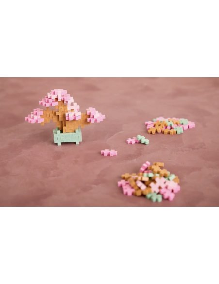 Pop Plantes Plus Plus – Bonsaï Rose 5+