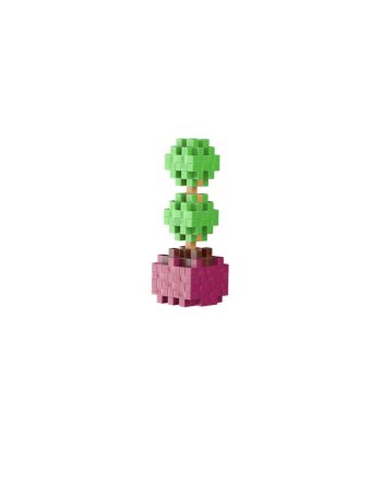 Pop Plantes Plus Plus – Buis 5+ 2