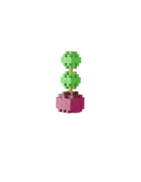 Pop Plantes Plus Plus – Buis 5+