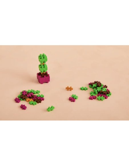 Pop Plantes Plus Plus – Buis 5+