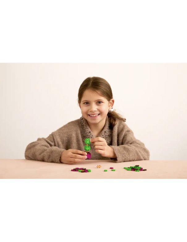 Pop Plantes Plus Plus – Buis 5+