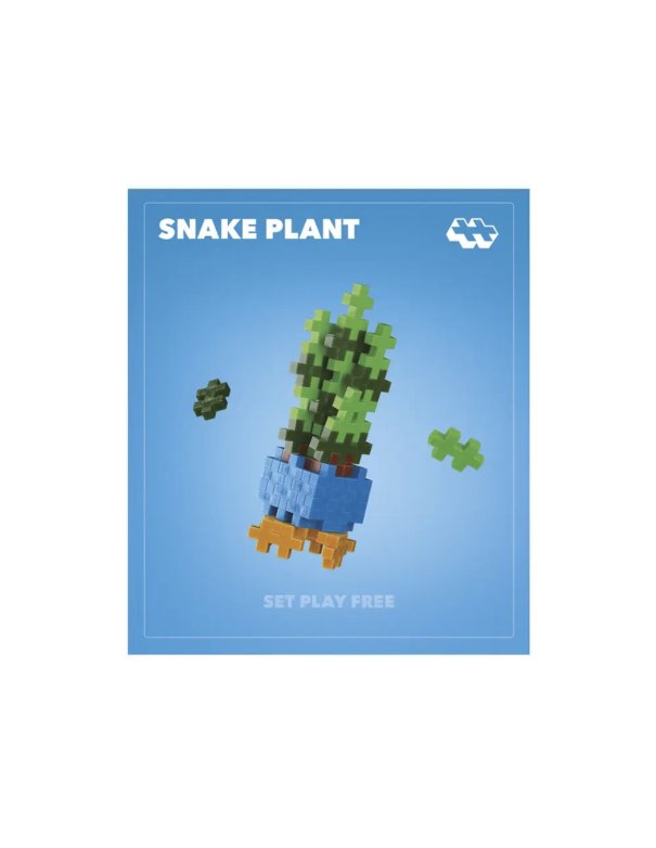 Pop Plantes Plus Plus – Succulente 5+