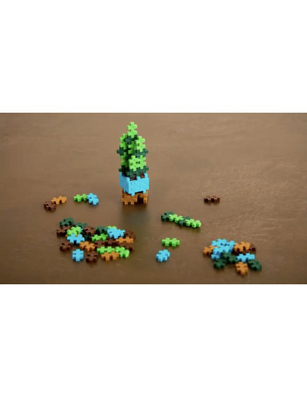 Pop Plantes Plus Plus – Succulente 5+