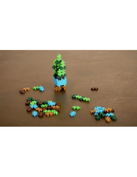 Pop Plantes Plus Plus – Succulente 5+