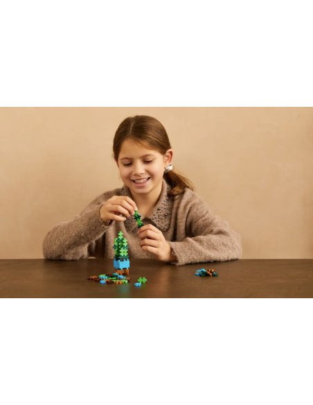 Pop Plantes Plus Plus – Succulente 5+