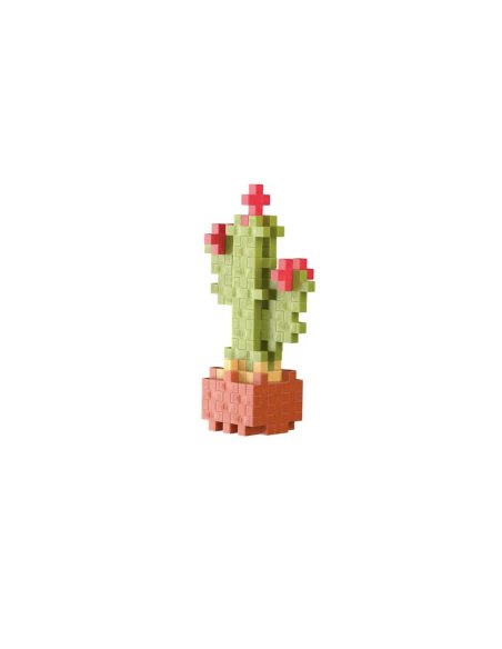 Pop Plantes Plus Plus – Cactus 5+