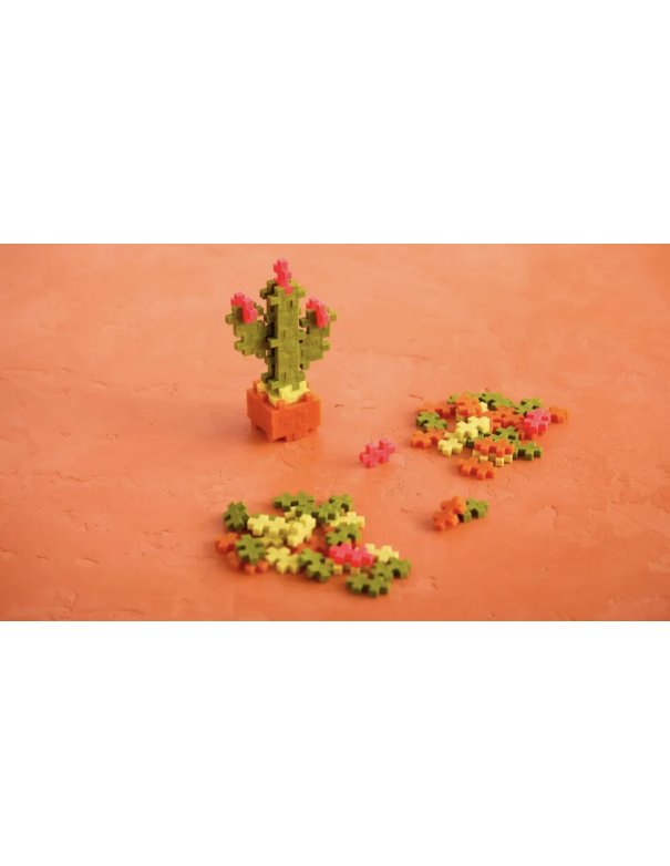 Pop Plantes Plus Plus – Cactus 5+