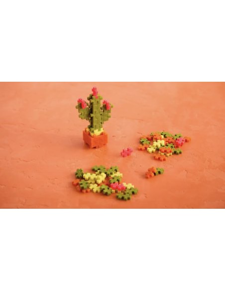 Pop Plantes Plus Plus – Cactus 5+