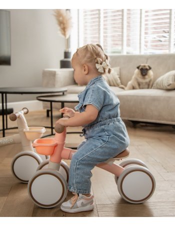 Porteur Luna - premier vélo... 2