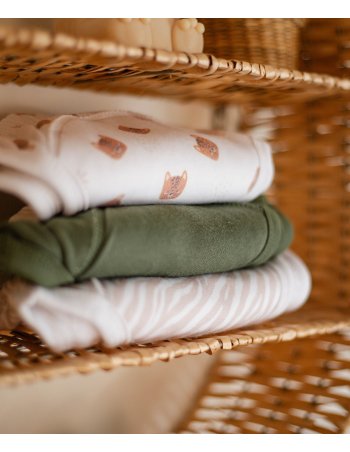 Culotte d'apprentissage - zèbre 18/24 mois 2