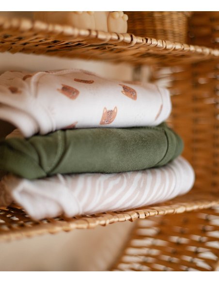 Culotte d'apprentissage - zèbre 18/24 mois