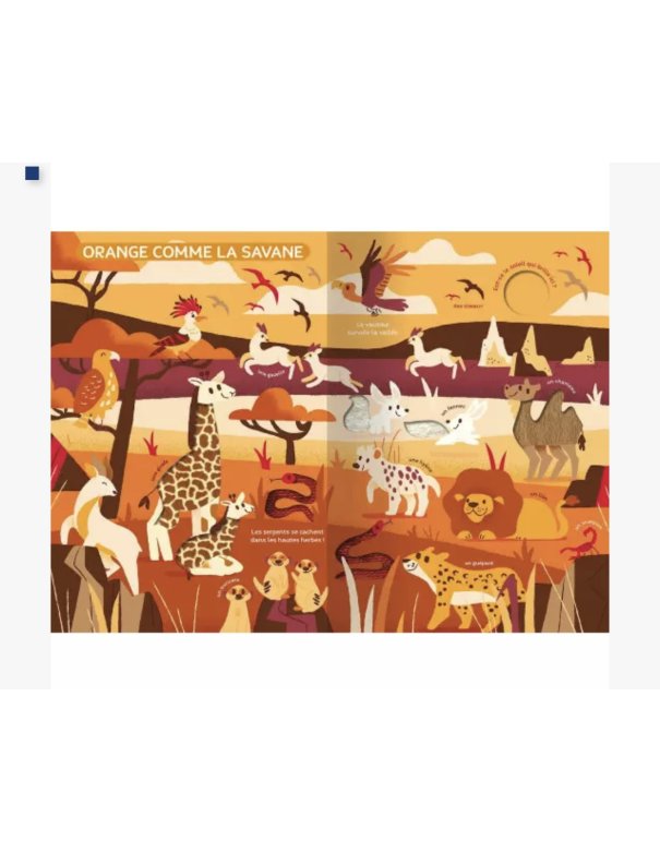 Mon très grand livre d'éveil - Le monde des couleurs