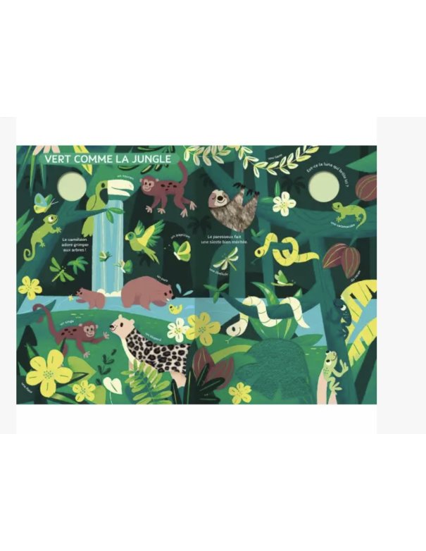 Mon très grand livre d'éveil - Le monde des couleurs