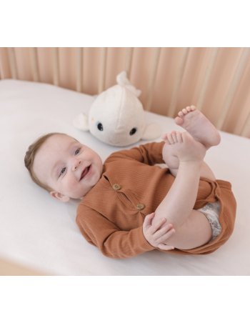 Peluche veilleuse & bruits... 2
