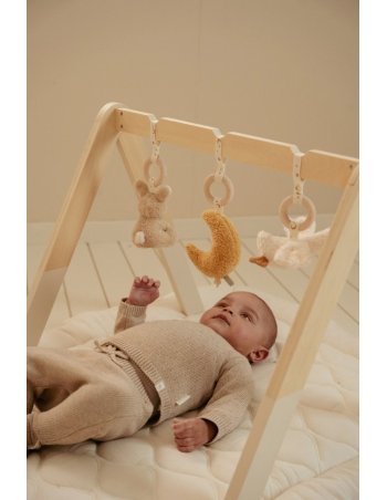 Arche d'éveil en bois - Newborn - Little Dutch 2