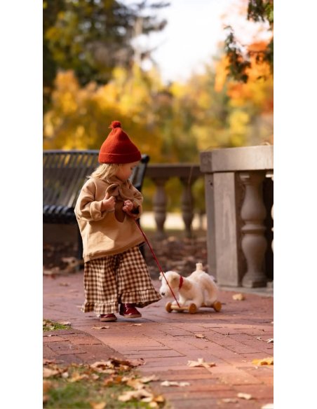 Peluche chien - Eliot à tirer - Egmont toys