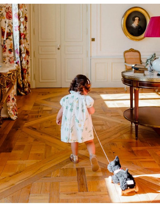 Peluche chien - Walter à tirer - Egmont toys