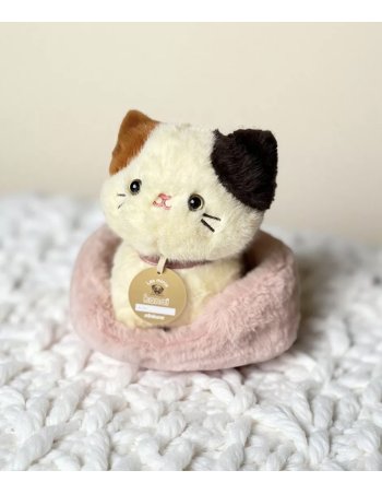 Kimi, chat en peluche de... 2