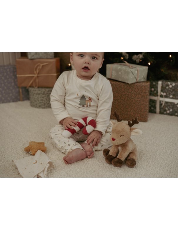 Coffret cadeau Noël - Little Dutch