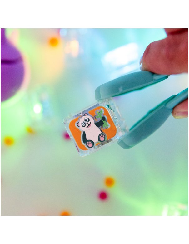 Cubes lumineux - Zany ZOO - lot de 6...