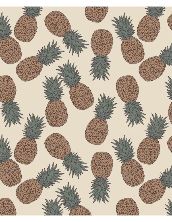 Imperméable Clotaire en coton enduit...