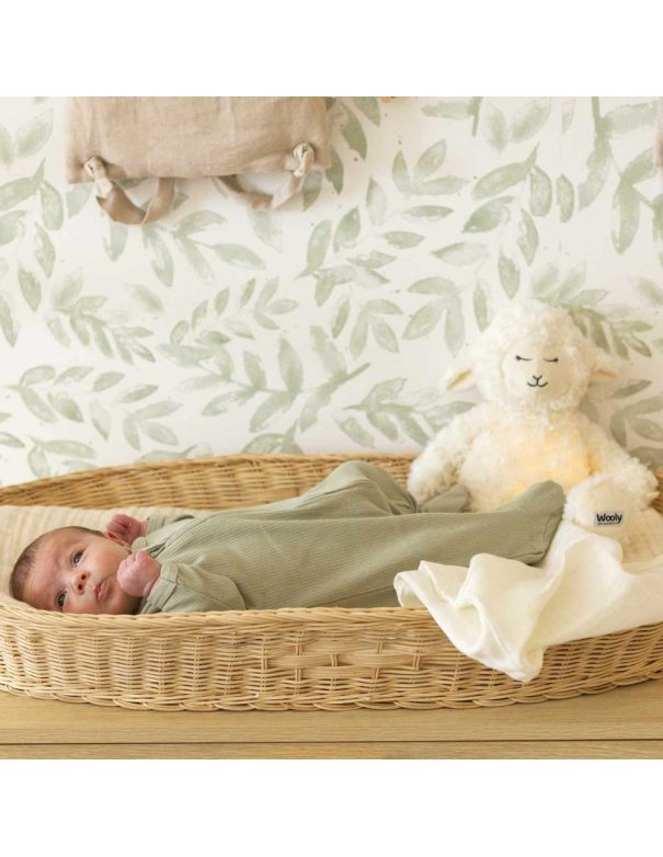 Pyjama coton zippé - Sauge - Trois...